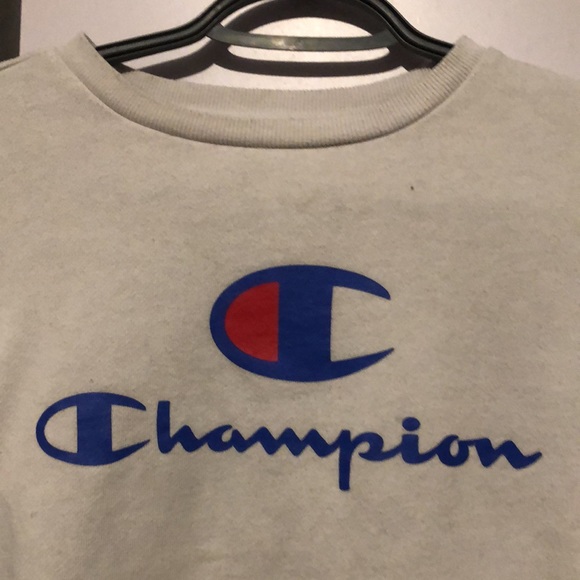 Medium champion sweater - Picture 2 of 3